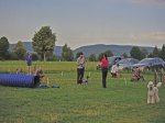 faulenfuerst2013 (10).JPG